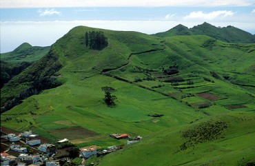 Monte de Las Mercedes Tenerife