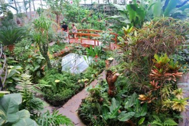 Mariposario del Drago Tenerife