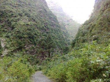Barranco del Infierno Tenerife