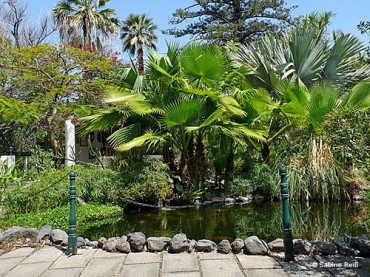 Jardin Sitio Litre Tenerife