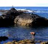 playa el guindaste