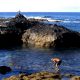 playa el guindaste