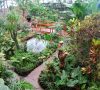 mariposario del drago icod